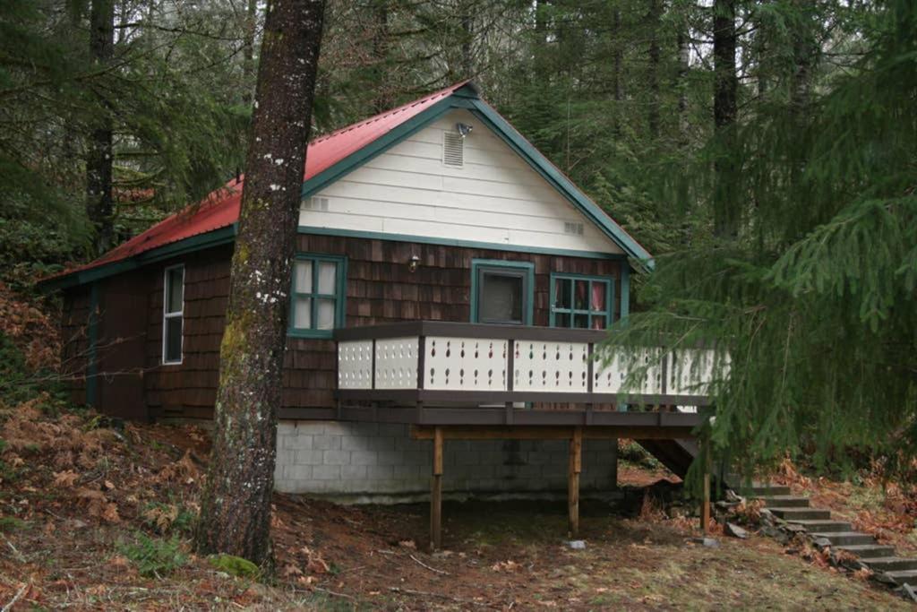 Mountainside Chalet - Tiny Home Пеквуд Екстер'єр фото